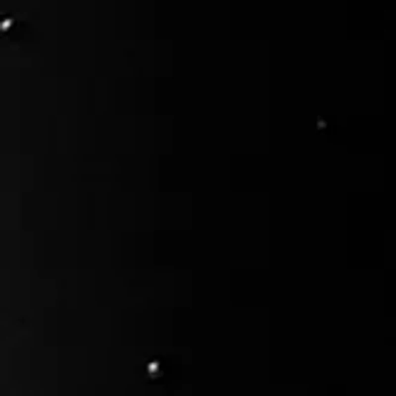 Plus Allover Heat Set Leggings