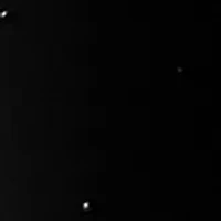 Plus Allover Heat Set Leggings