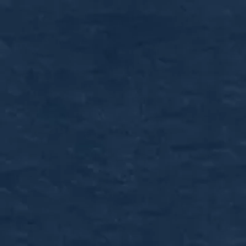 Petite Short Sleeve Raglan Jewel Neck Blouse