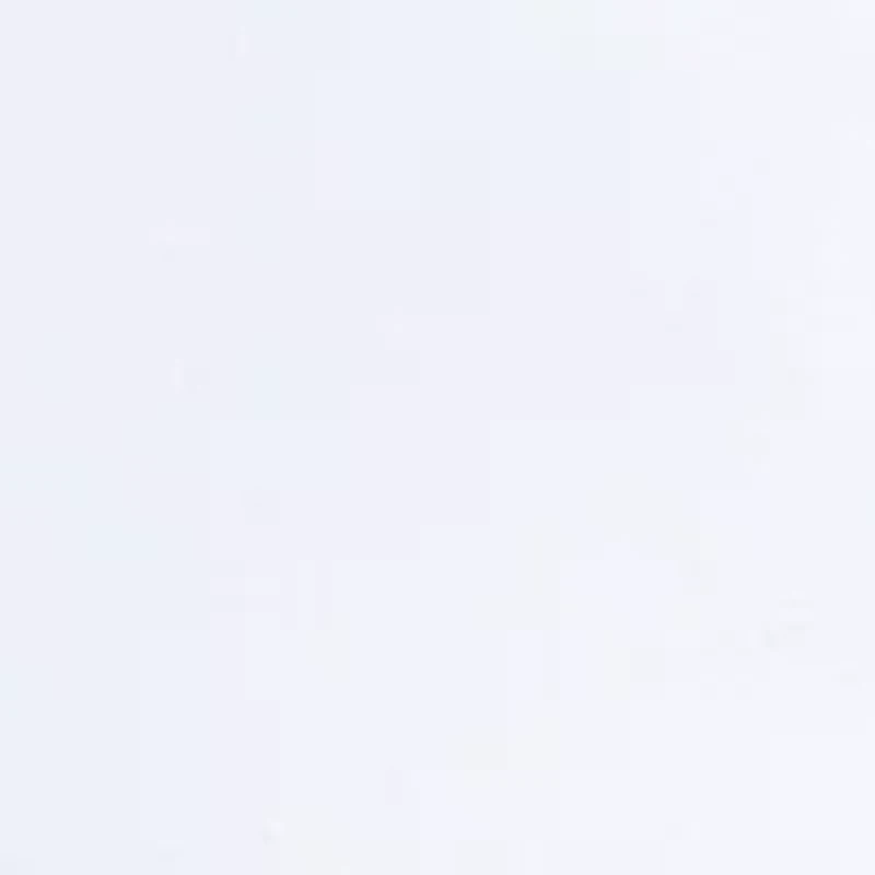 Petite Classic Shorts