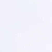 Petite Classic Shorts