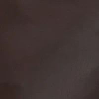 Petite Vegan Leather Slim Pants