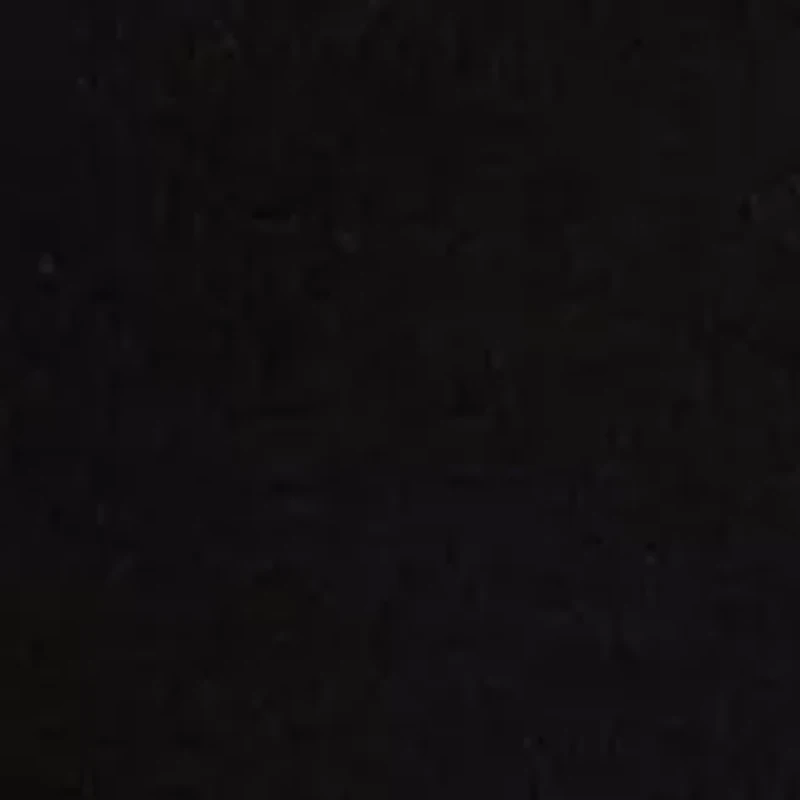 Petite Blouson Sleeve Mock Neck Top