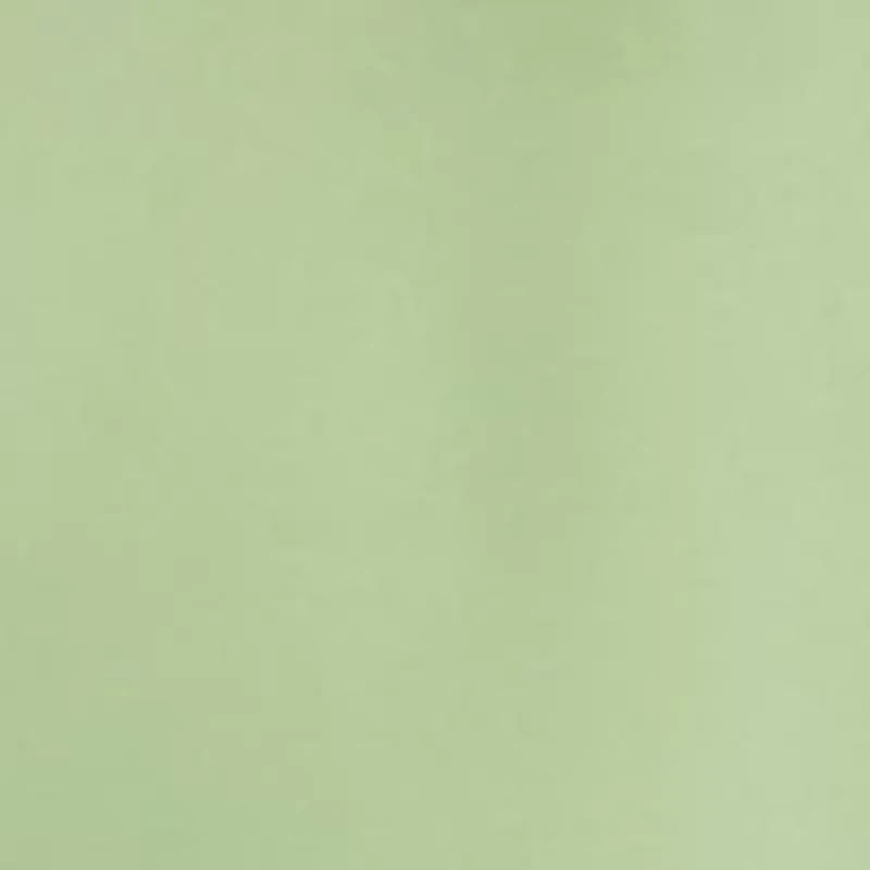 Plus Cap Sleeve Collar Blouse