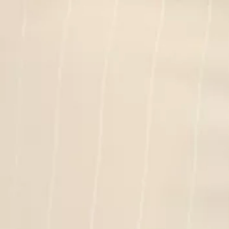 Petite Full Length Wide Leg Pants