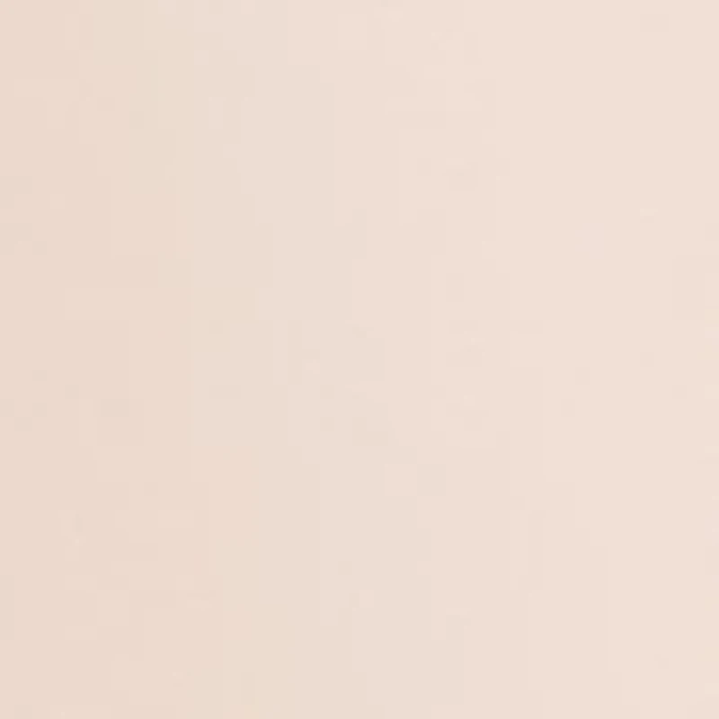 Petite Long Sleeve Smocked Blouse