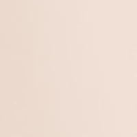 Petite Long Sleeve Smocked Blouse