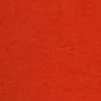 Petite 3/4 Sleeve Crew Neck Graphic T-Shirt