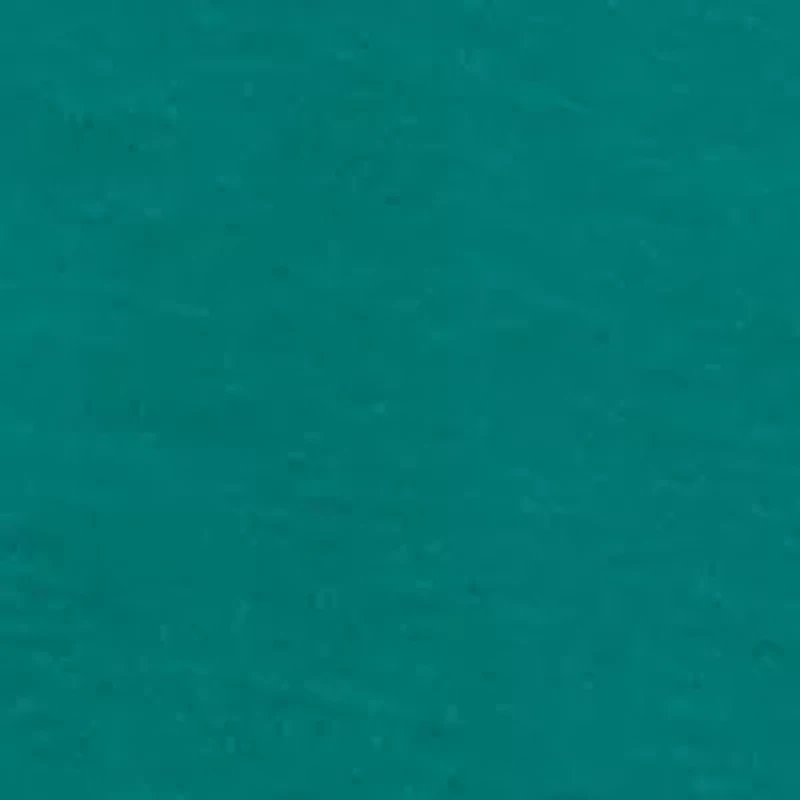 Petite Long Sleeve Mock Neck Top