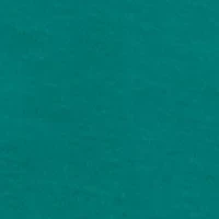 Petite Long Sleeve Mock Neck Top