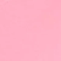 Petite 3/4 Sleeve Graphic T-Shirt