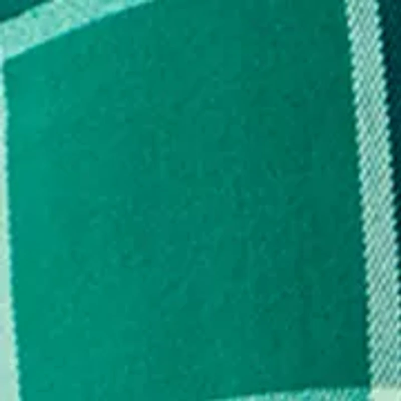 Petite Long Sleeve Flannel Shirt