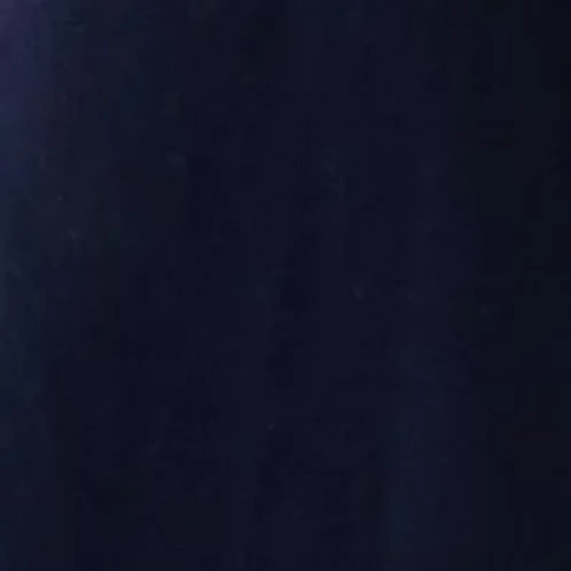 Petite Puff Sleeve Textured Knit Top