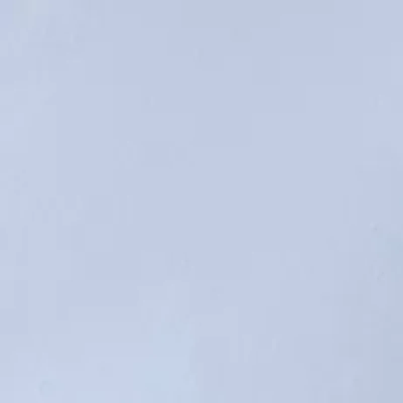 Women's Easy Care Solid Y-Neck Shirt