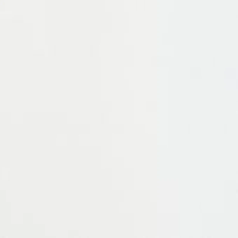 Plus Button Down Blouse