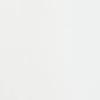 Plus Button Down Blouse