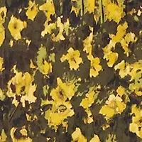 Plus Austin Shirt Dress