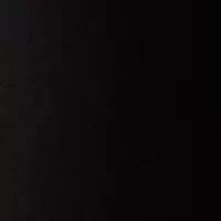 Petite Lexington Straight Denim