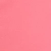 Petite Fly Front Duke Slim Ankle Pants