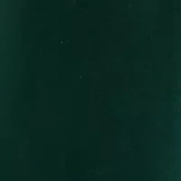 Petite Stretch Velour 3/4 Sleeve Kelly Blouse