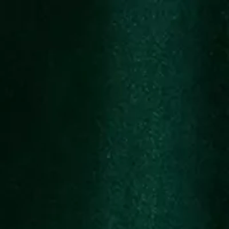 Plus 3/4 Sleeve Pleat Front Velour Top