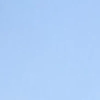 Petite Pull On Wide Waistband Front Seam Slim Ankle Pants