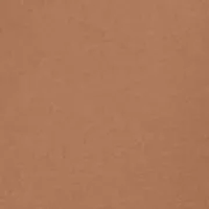 Petite Three Quarter Dolman Sleeve Detail T-Shirt