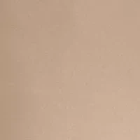 Petite Fly Front Lexington Straight Pants