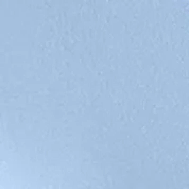 Petite 3/4 Dolman Sleeve Top