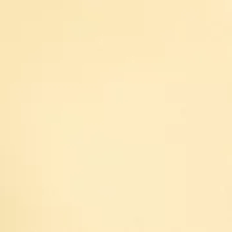 Petite Long Sleeve Eyelet Trim Button Down Twofer