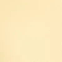 Petite Long Sleeve Eyelet Trim Button Down Twofer