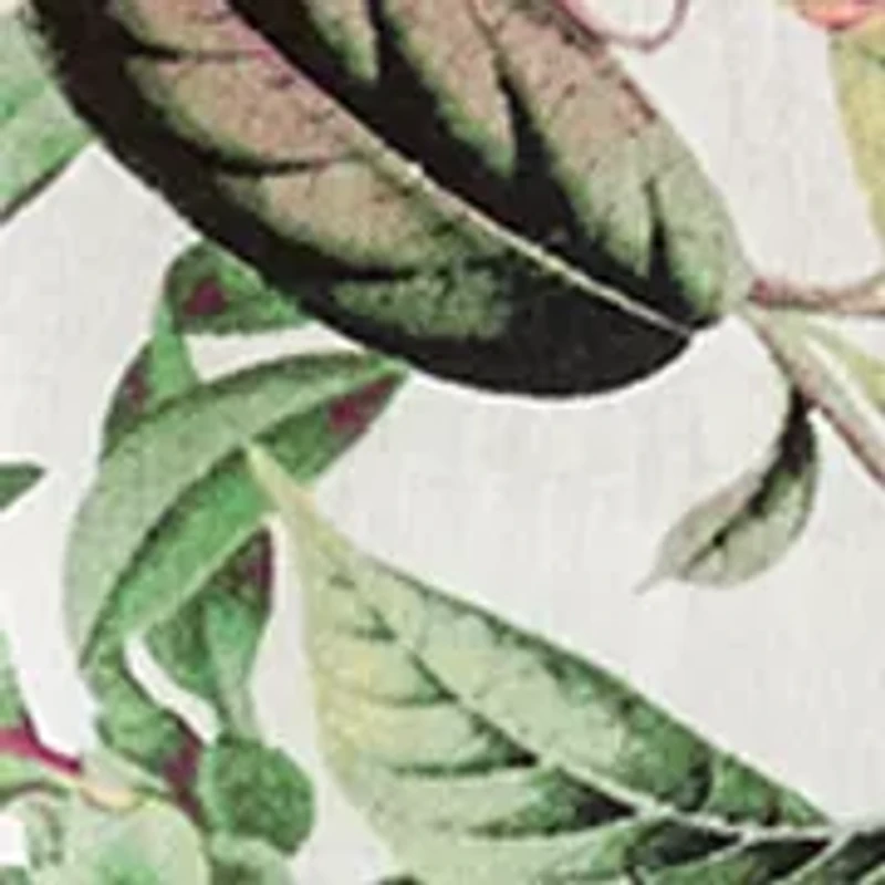 Women's 3/4 Tie Sleeve Print Top