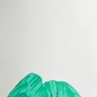 Petite Long Sleeve Half Placket Popover Print Shirt