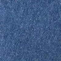 Plus Long Sleeve Chambray Button Down Top