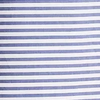 Petite Pleated Shirt Midi Dress