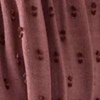 Women's Short Sleeve Clipdot Blouse