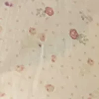 Women's Puff Sleeve Button Down Shirt