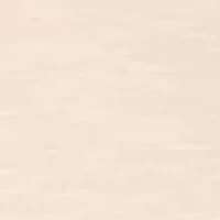 Lace Trimmed T-Shirt