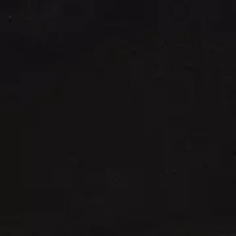 Steve High-Rise Black Flare Jeans