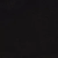 Steve High-Rise Black Flare Jeans