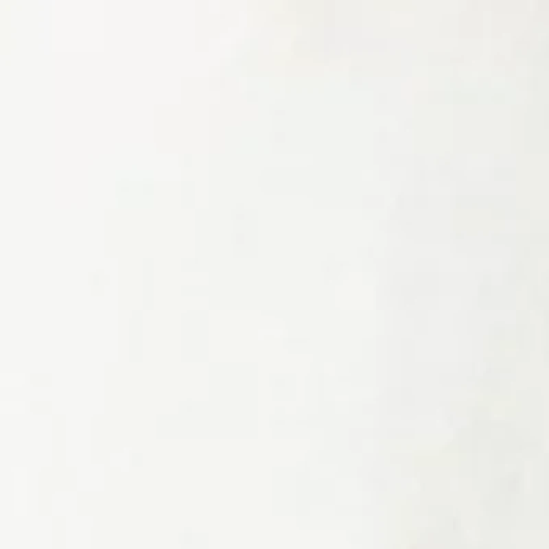 Women's Floral Ornate Frame Graphic T-Shirt