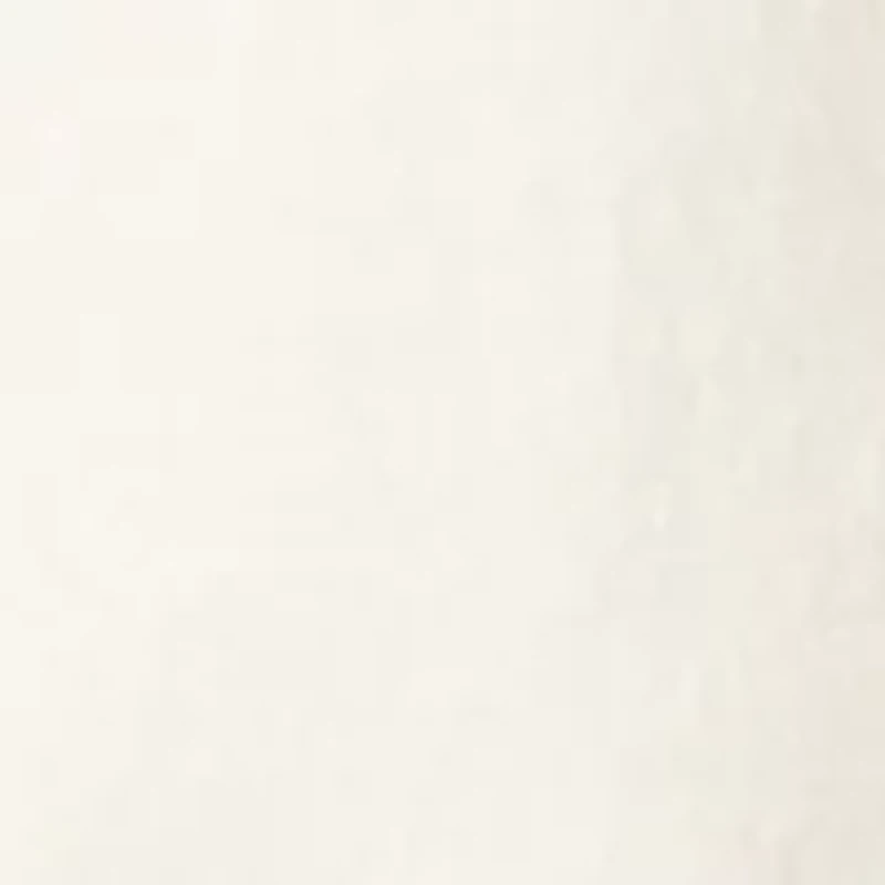 Women's Crew Neck Drummer Queen Graphic T-Shirt