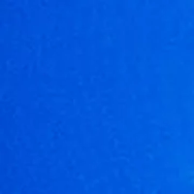 Women's Willa Ruffle Bralette Bikini Top