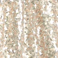 Petite Blouson Sleeve Sequin Tiered Dress