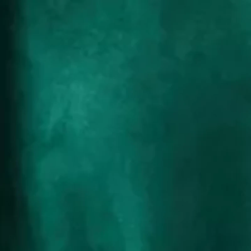 Women's Suede Shift Dress