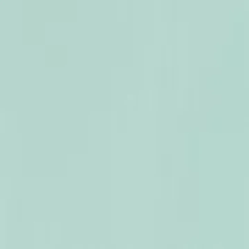 Women's Puff Sleeve Button Front Shirtdress