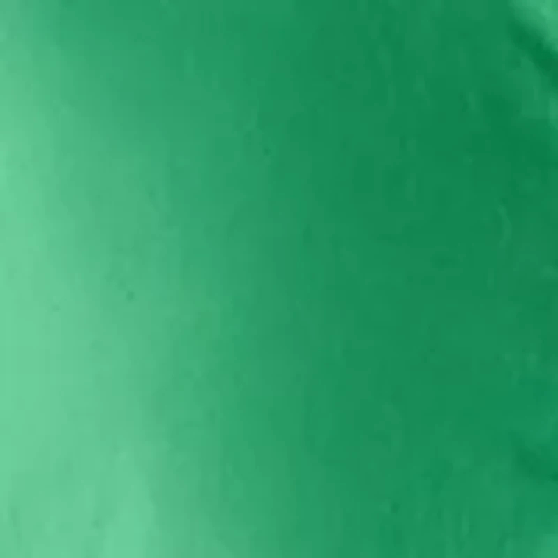 Petite Puff Sleeve Shirtdress