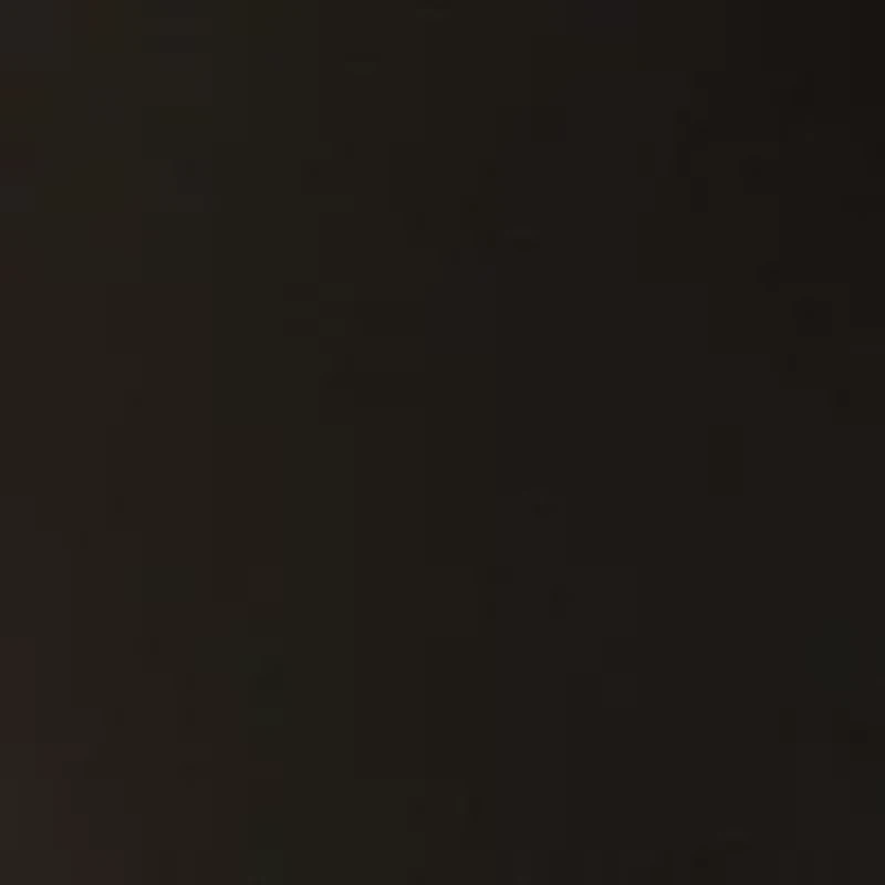 Women's High Waist Ankle Pants