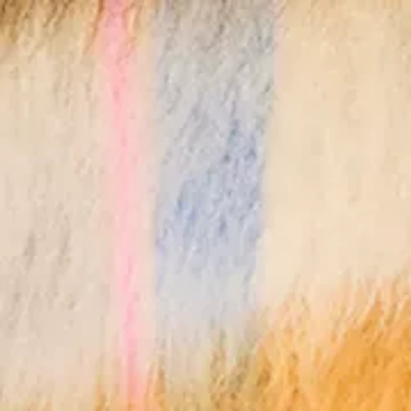 Women's Kaylen Jacket