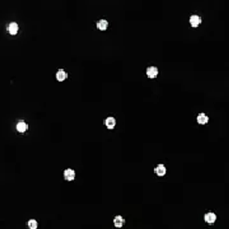 Women's Astoria Dress